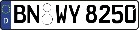BN-WY8250