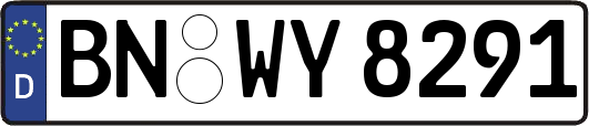 BN-WY8291