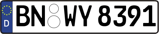BN-WY8391