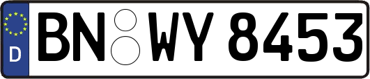 BN-WY8453