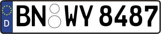 BN-WY8487