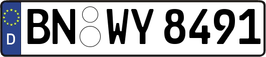 BN-WY8491