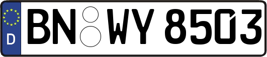 BN-WY8503
