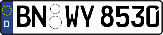 BN-WY8530