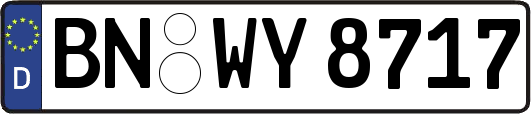 BN-WY8717