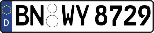 BN-WY8729