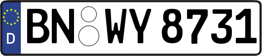 BN-WY8731
