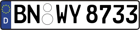BN-WY8733