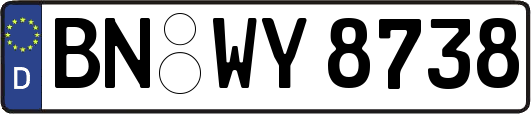 BN-WY8738