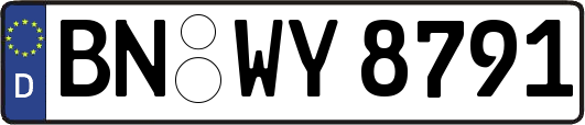 BN-WY8791