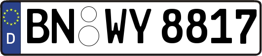 BN-WY8817
