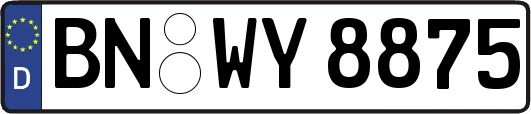 BN-WY8875