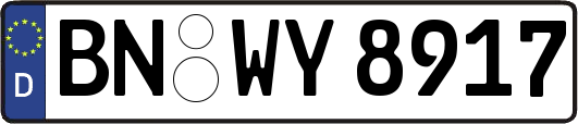 BN-WY8917