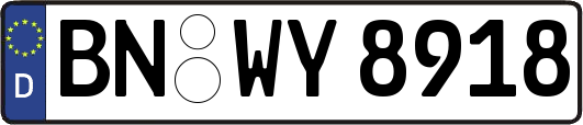 BN-WY8918
