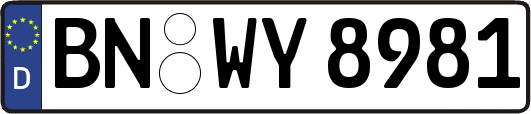 BN-WY8981