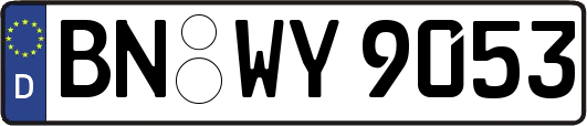 BN-WY9053