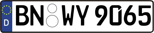 BN-WY9065