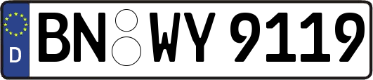 BN-WY9119