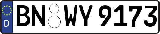 BN-WY9173