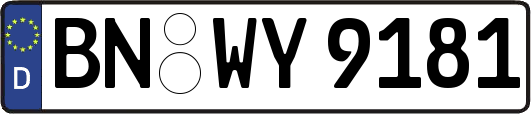 BN-WY9181