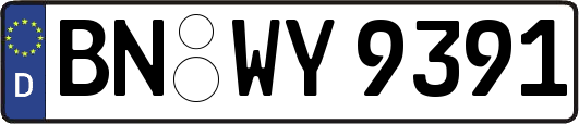 BN-WY9391