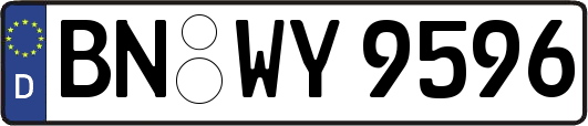 BN-WY9596