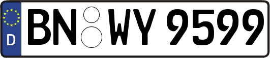 BN-WY9599