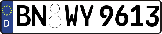 BN-WY9613