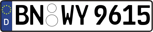 BN-WY9615