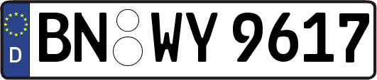 BN-WY9617