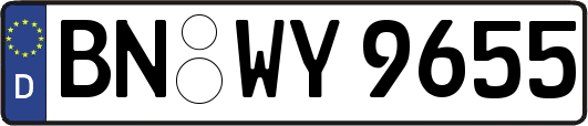BN-WY9655