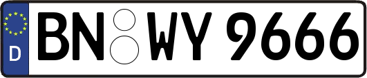 BN-WY9666
