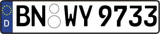 BN-WY9733