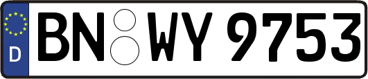 BN-WY9753