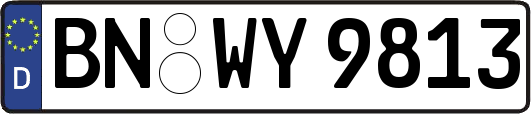 BN-WY9813