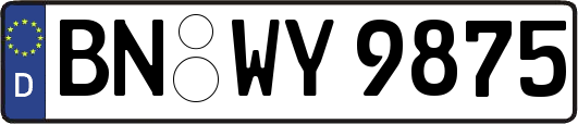 BN-WY9875