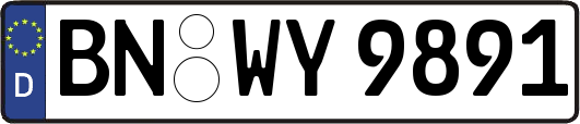 BN-WY9891