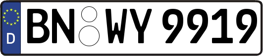 BN-WY9919