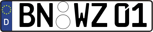 BN-WZ01