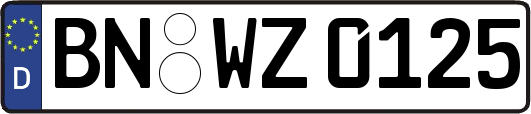 BN-WZ0125