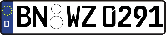 BN-WZ0291