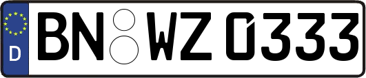 BN-WZ0333