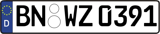 BN-WZ0391