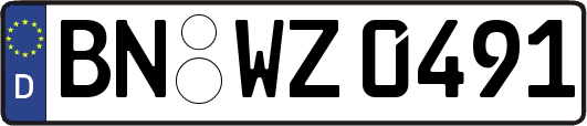 BN-WZ0491