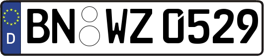 BN-WZ0529
