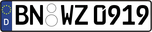 BN-WZ0919