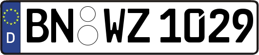 BN-WZ1029