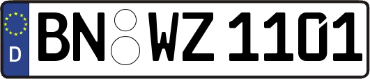 BN-WZ1101
