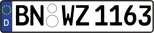 BN-WZ1163