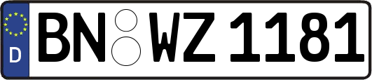 BN-WZ1181